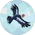 Adi Sirota Avatar