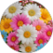 Reut bar Avatar
