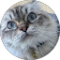 Zenb Zedany Avatar