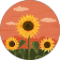 ענאדל זנגריה Avatar