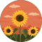 ענאדל זנגריה Avatar