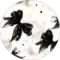 Adi Glikberg Avatar