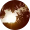 רביד יובל Avatar